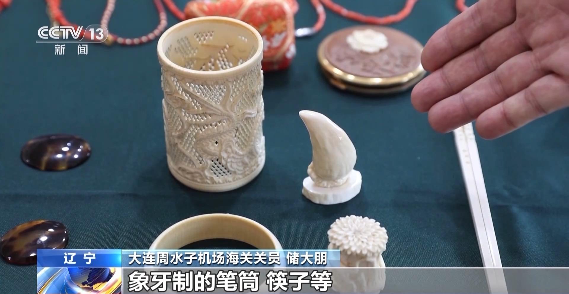 行李内藏乌龟、鳄鱼 海关查获多只濒危活体动物(图5)