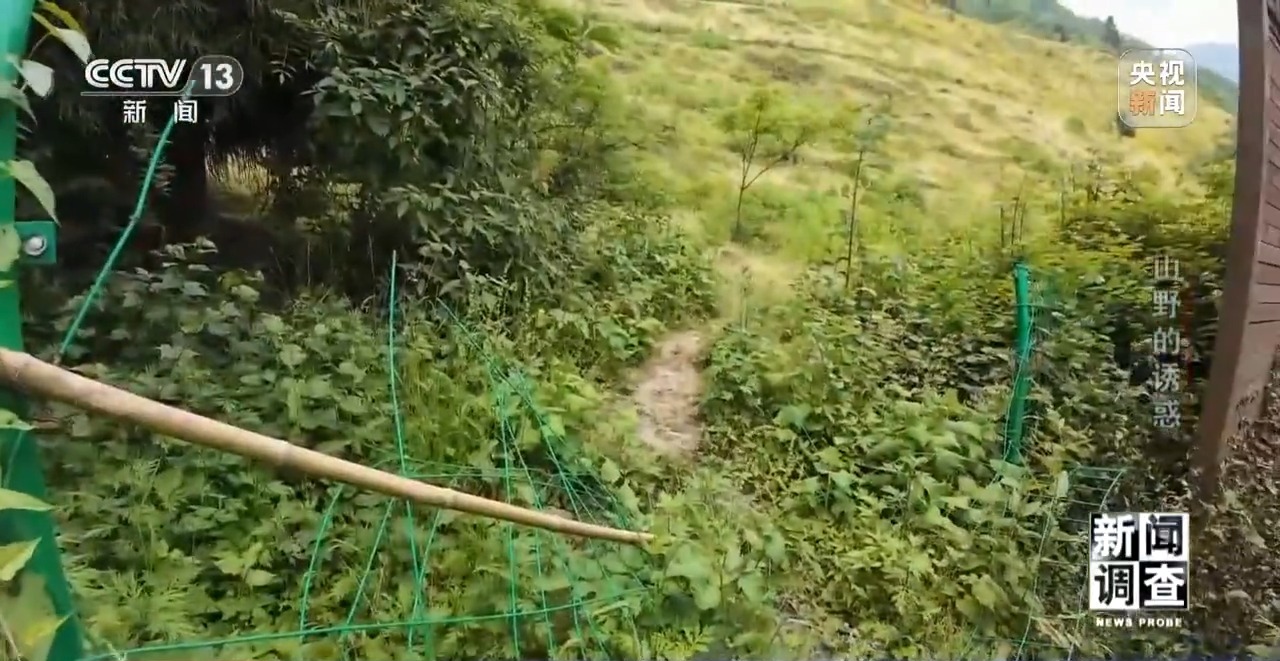 户外探险事故频发 如何规范管理“越界”行为？(图6)