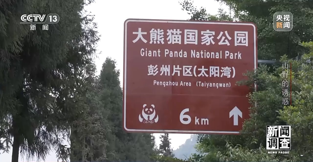 户外探险事故频发 如何规范管理“越界”行为？(图11)