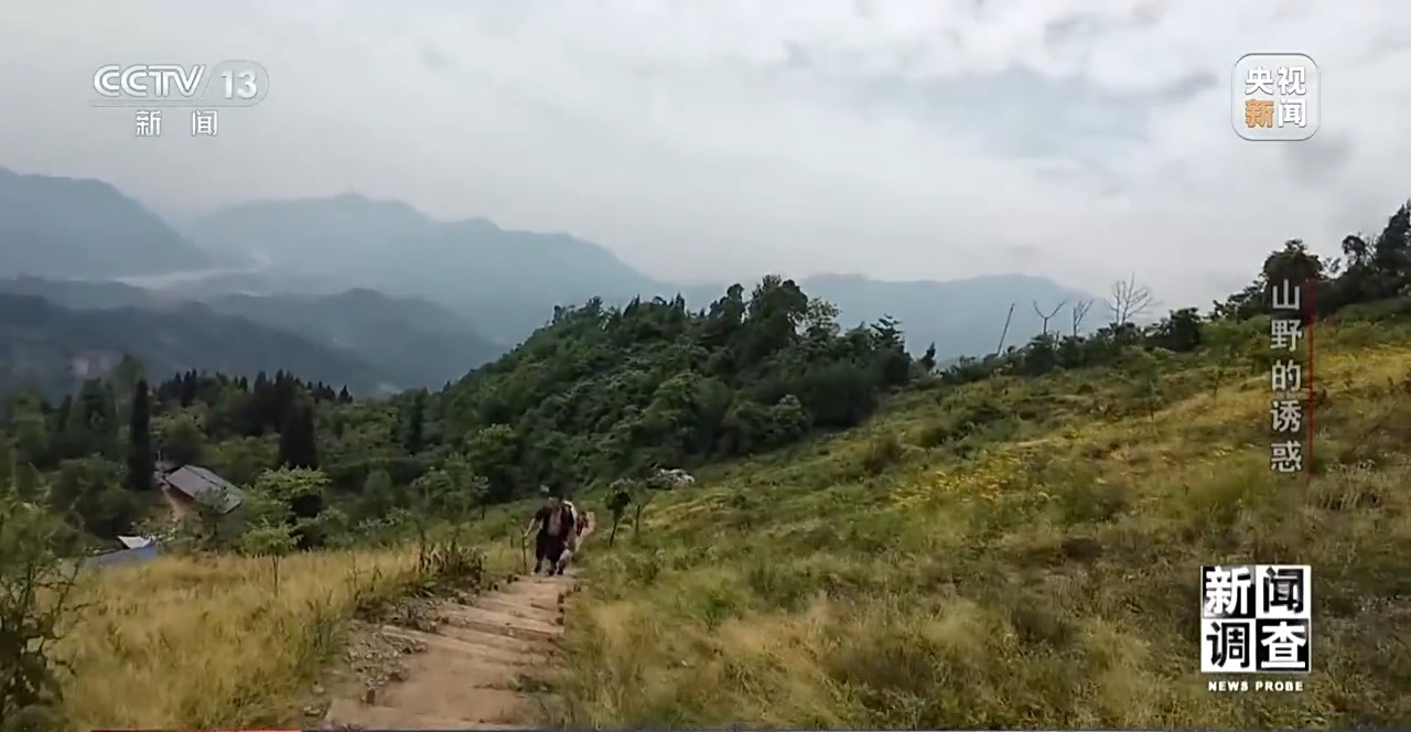户外探险事故频发 如何规范管理“越界”行为？(图13)