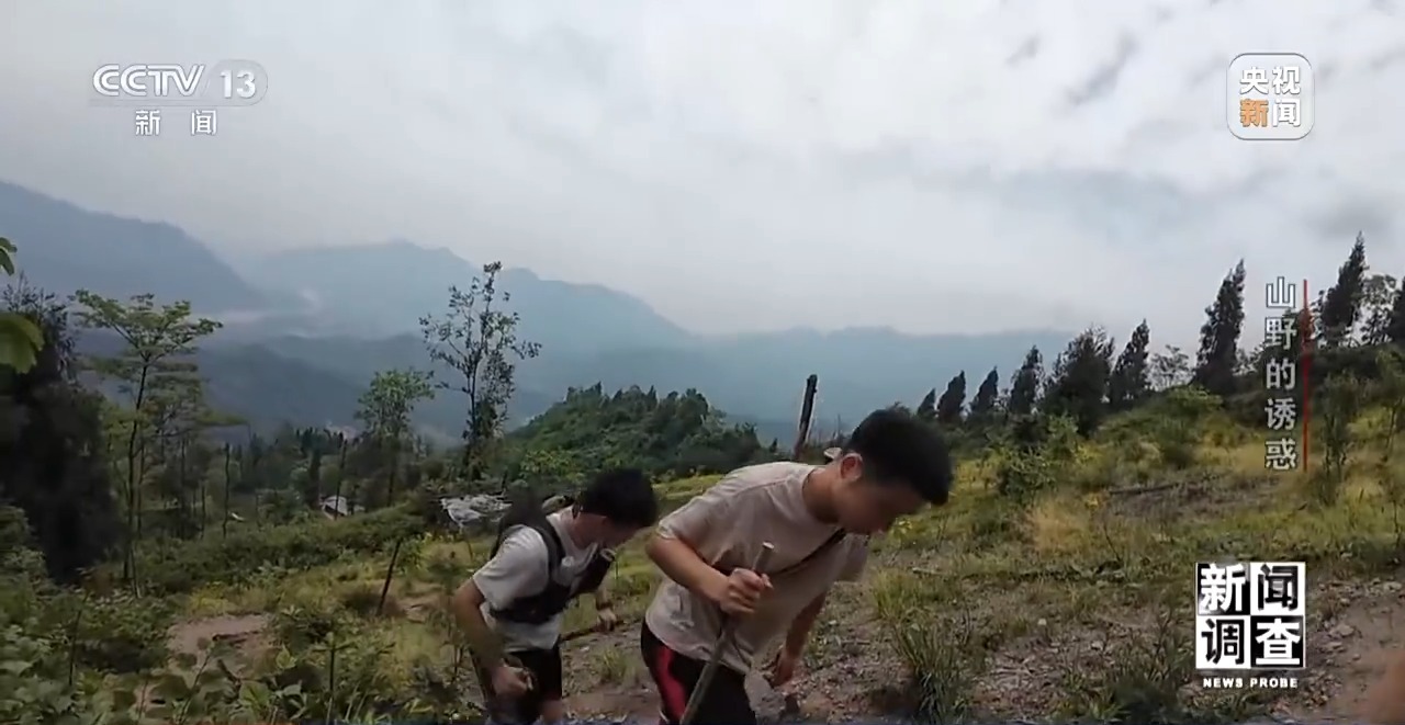 户外探险事故频发 如何规范管理“越界”行为？(图16)