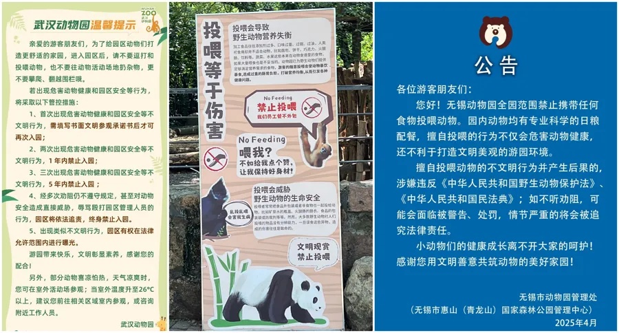 不是爱是害！上海动物园顶流网红频遭投喂甚至还被喂了干燥剂？(图4)