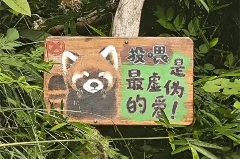 不是爱是害！上海动物园顶流网红频遭投喂甚至还被喂了干燥剂？(图5)