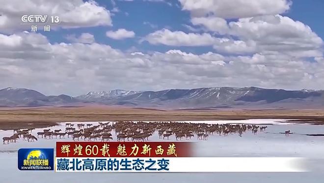 辉煌60载 魅力新西藏丨藏北高原的生态之变(图2)