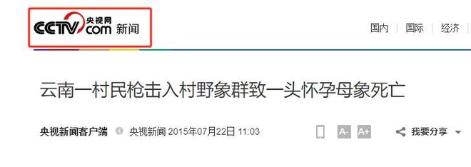 野生仅300多头！2015年云南村民打死一头怀孕有胎儿(图2)