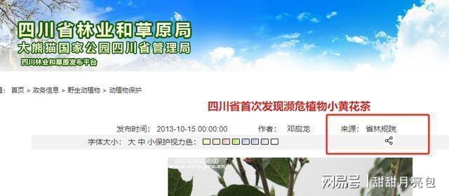 父子接力40年守护世界珍稀植物！这种黄花茶凭啥金贵？(图1)