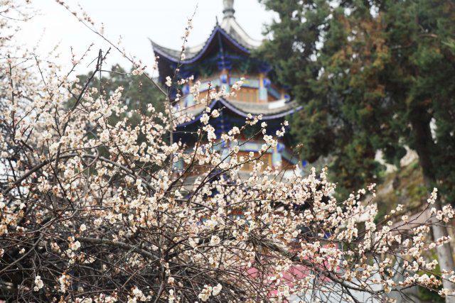 大理永平：古道焕新韵文旅融合绘新篇(图8)