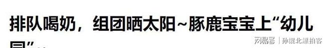 云南护林员深山发现濒危动物出生仅3天(图18)