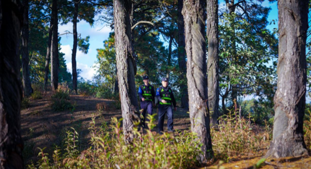 涉案70余万元 抓获117人 攀枝花公安斩断野生动物非法交易链(图1)