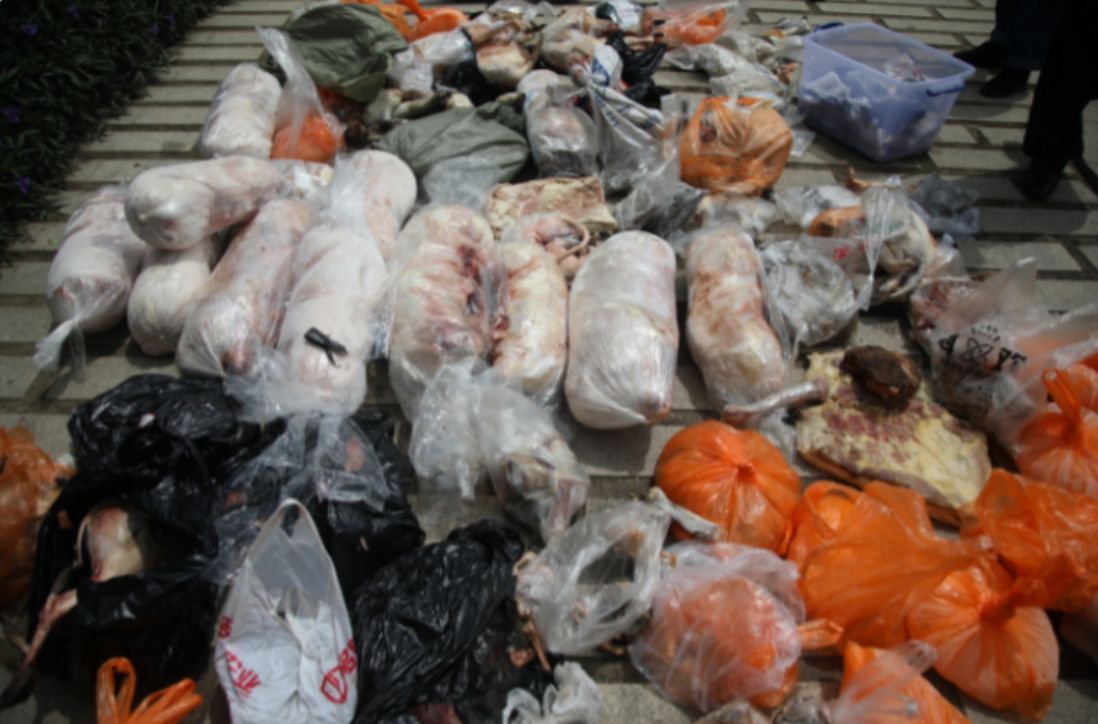 涉案70余万元 抓获117人 攀枝花公安斩断野生动物非法交易链(图2)