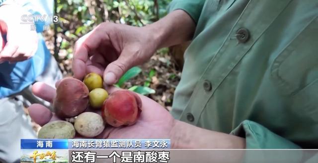 感知生态之变丨可能是新物种到来、森林的复苏……这些自然之声有何不同？(图2)