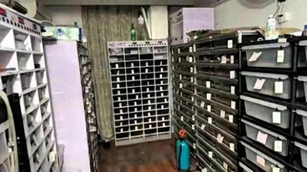 多人私自繁育野生动物 涉案3000多万(图1)