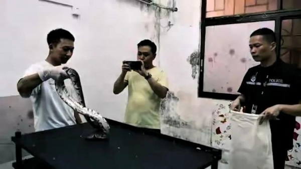 多人私自繁育野生动物 涉案3000多万(图3)