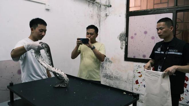 浙江台州摧毁一个繁殖销售国家一、二级保护动物的犯罪团伙(图2)