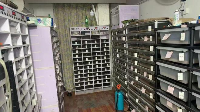 浙江台州摧毁一个繁殖销售国家一、二级保护动物的犯罪团伙(图1)