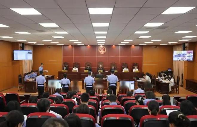 20只以上就定罪！湖北男子收购上万只卖给饭店当食材(图5)