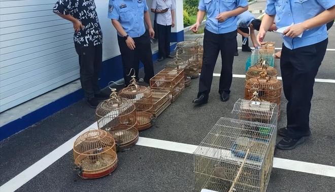 20只以上就定罪！湖北男子收购上万只卖给饭店当食材(图7)