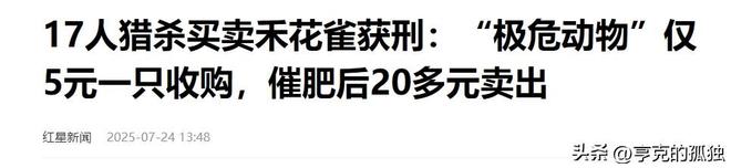 20只以上就定罪！湖北男子收购上万只卖给饭店当食材(图15)