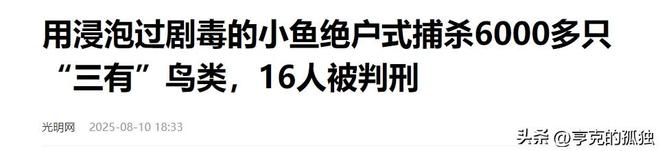 20只以上就定罪！湖北男子收购上万只卖给饭店当食材(图16)