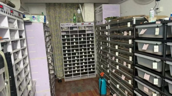 多人私自繁育野生动物 涉案3000多万！台州警方抓获10人(图1)