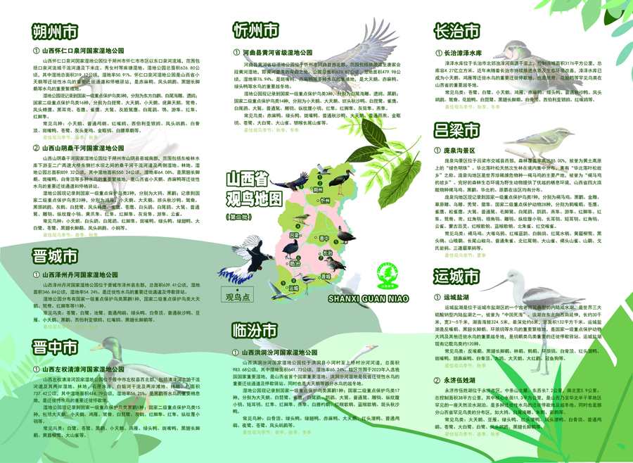 共筑候鸟驿站 让极危物种“安家带娃”(图1)