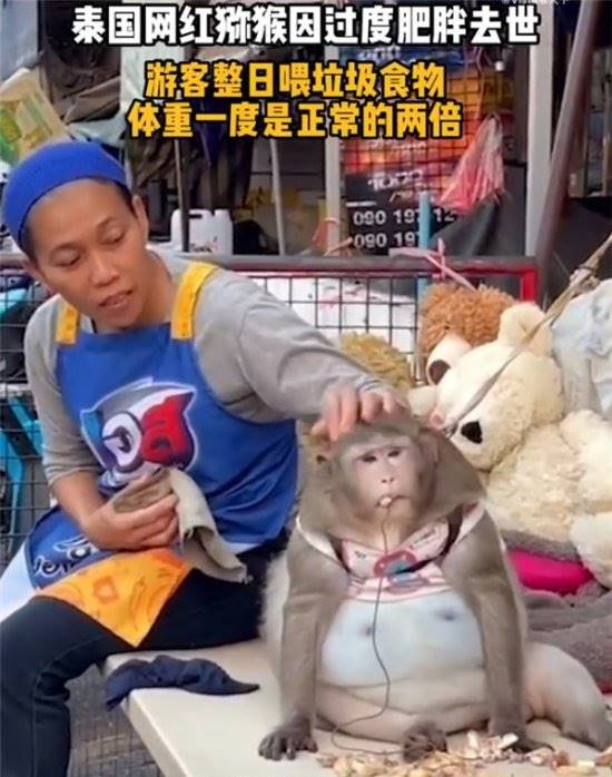 保护野生鸟类守护生态底线(图1)