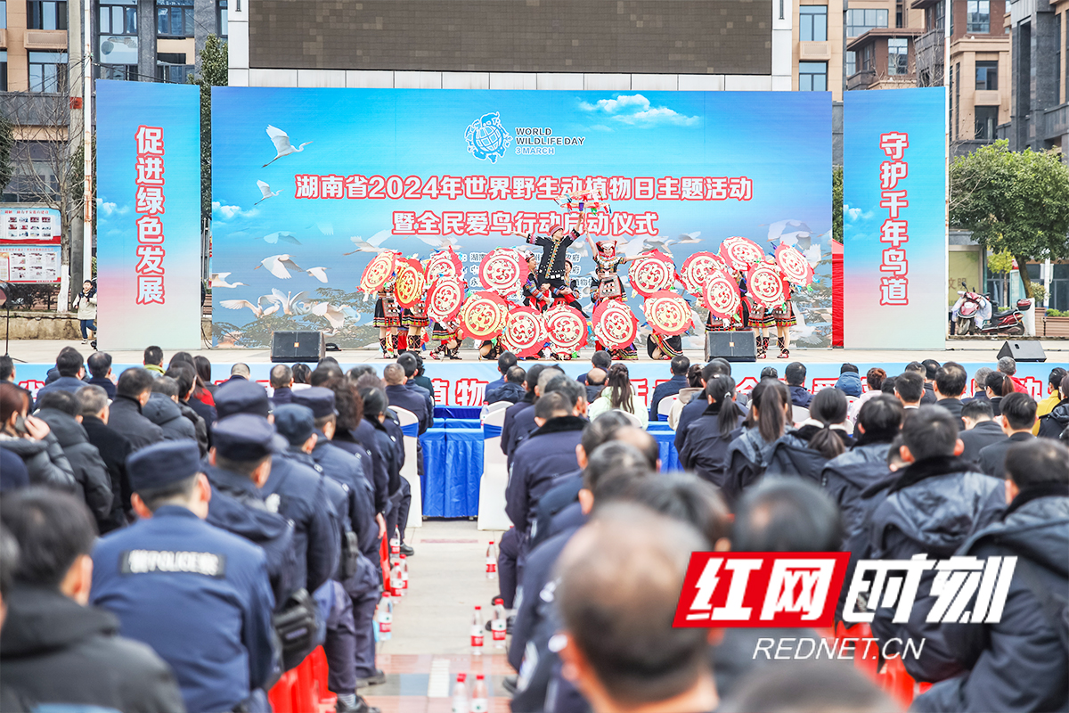 湖南省2024年世界野生动植物日主题活动暨全民爱鸟行动在永州蓝山启动(图1)