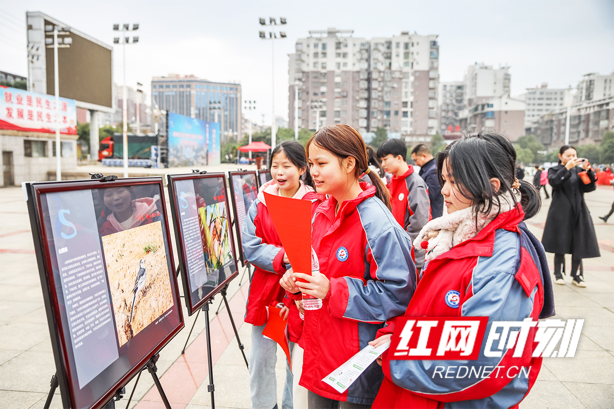湖南省2024年世界野生动植物日主题活动暨全民爱鸟行动在永州蓝山启动(图2)