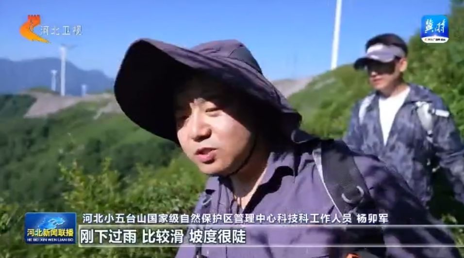 绿水青山多了“稀客” ① 小五台山濒危物种逆袭记(图1)