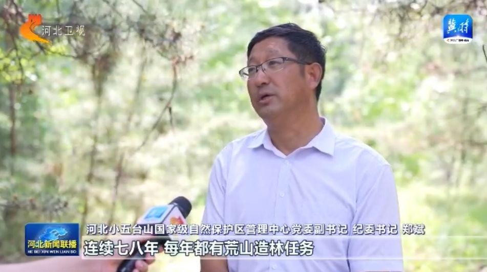 绿水青山多了“稀客” ① 小五台山濒危物种逆袭记(图7)