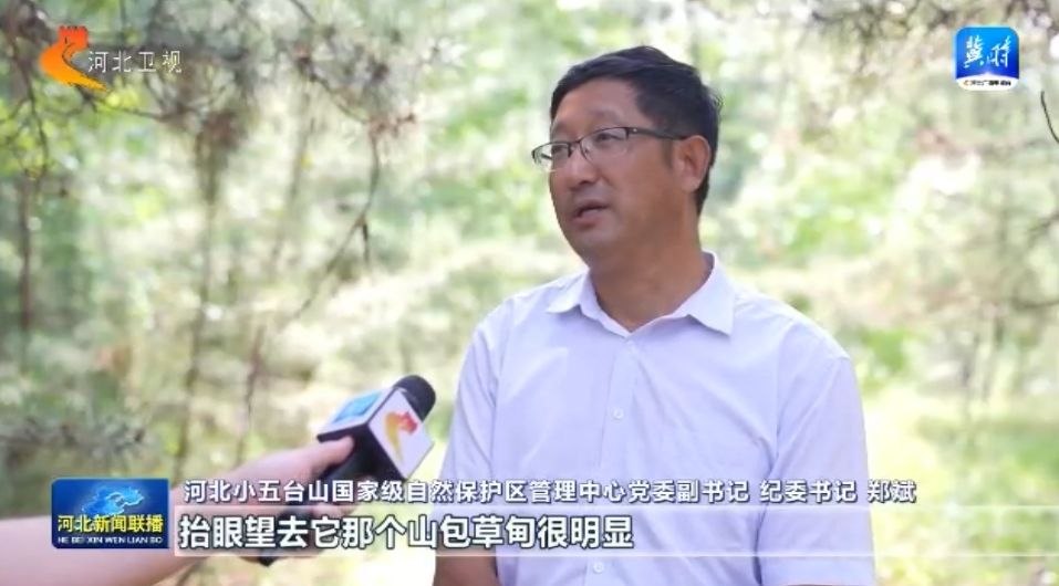 绿水青山多了“稀客” ① 小五台山濒危物种逆袭记(图6)