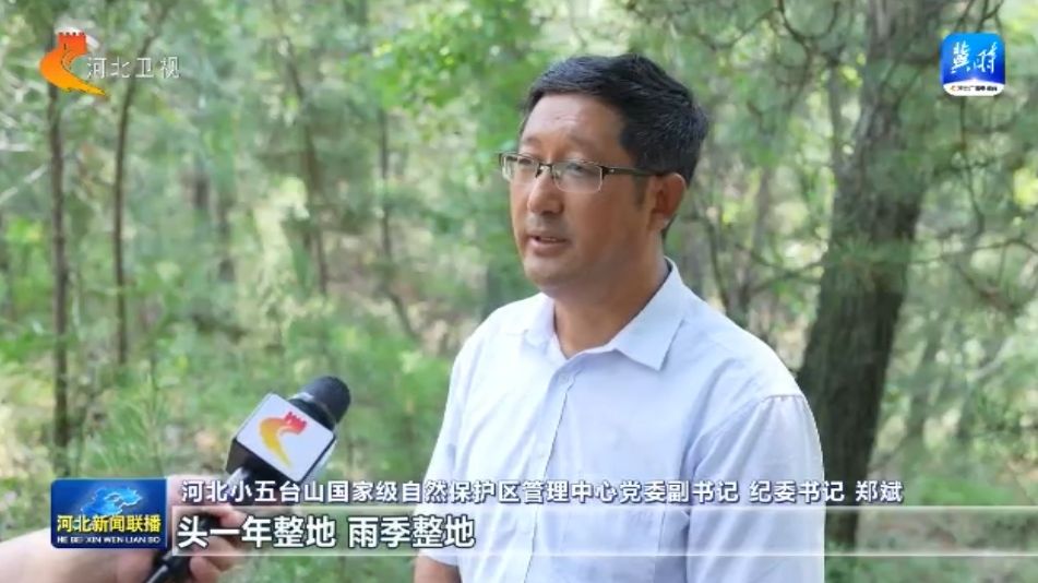 绿水青山多了“稀客” ① 小五台山濒危物种逆袭记(图8)