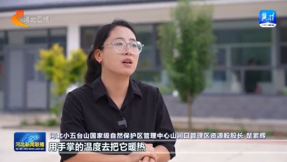 绿水青山多了“稀客” ① 小五台山濒危物种逆袭记(图10)