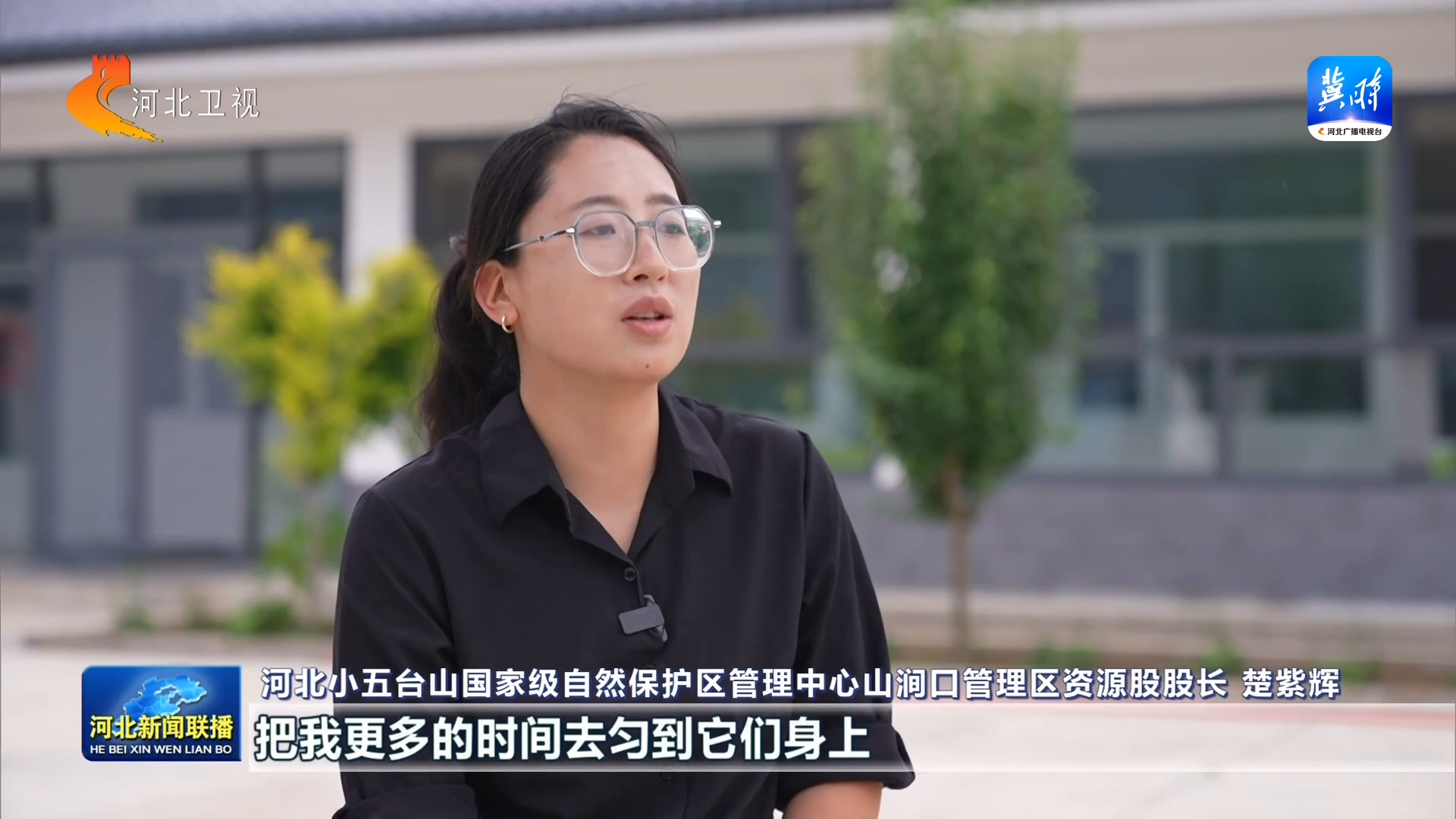绿水青山多了“稀客” ① 小五台山濒危物种逆袭记(图11)