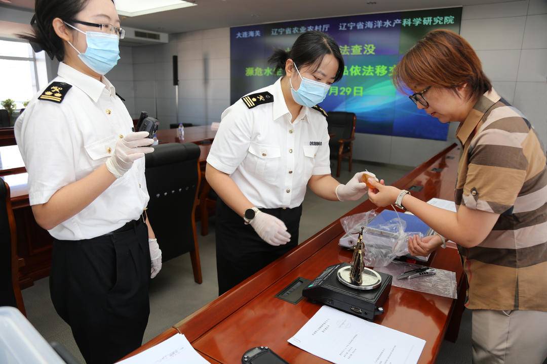 大连海关向辽宁省农业农村厅移交濒危水生动物制品179件(图1)