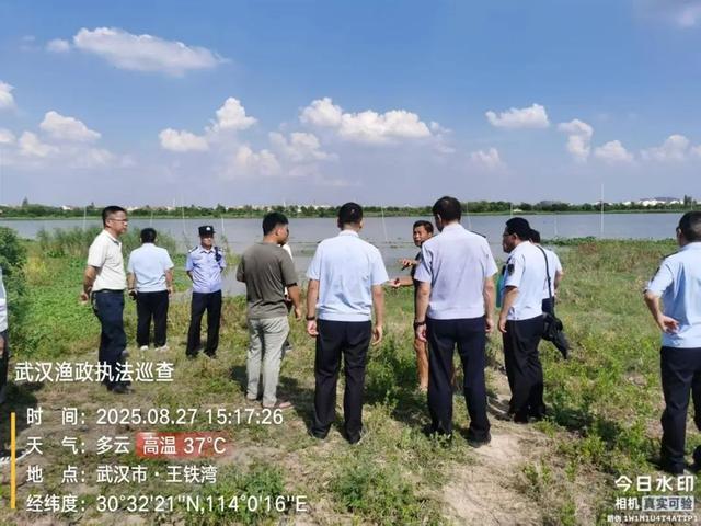 武汉发现5条鳄鱼已“落网”！或系人为放生(图1)