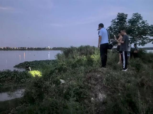 武汉发现5条鳄鱼已“落网”！或系人为放生(图2)