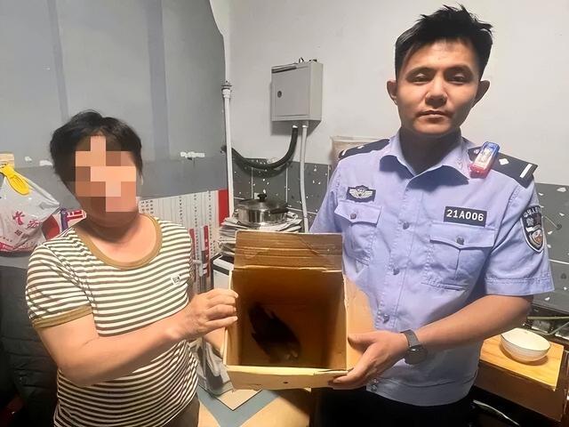 派出所来一位 “受伤小客人”！(图1)