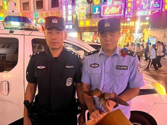 派出所来一位 “受伤小客人”！(图2)