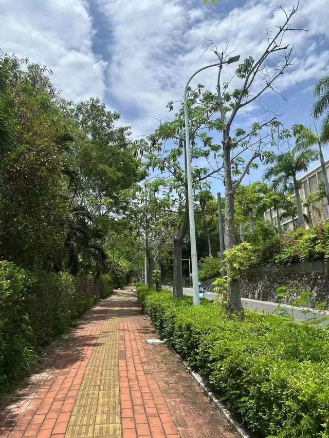 三亚游客被咬伤致死家属最新发声(图1)