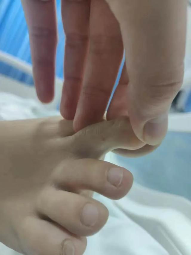 三亚游客被咬伤致死家属最新发声(图3)