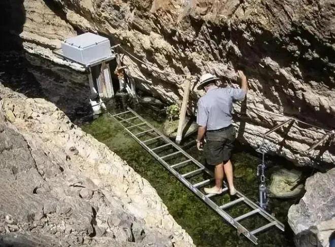 数量暴跌仅剩20条！沙漠鱼与世隔绝6万年：为什么不能将它们转移出沙漠(图10)