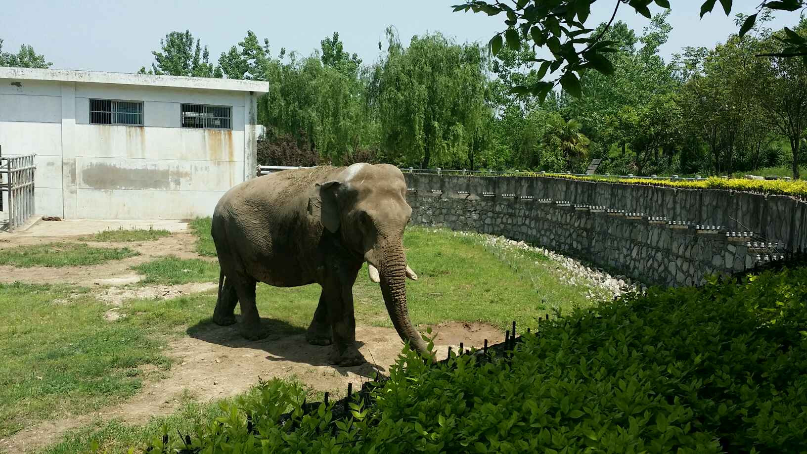 生态环保合作为上合组织注入绿色动能(图1)