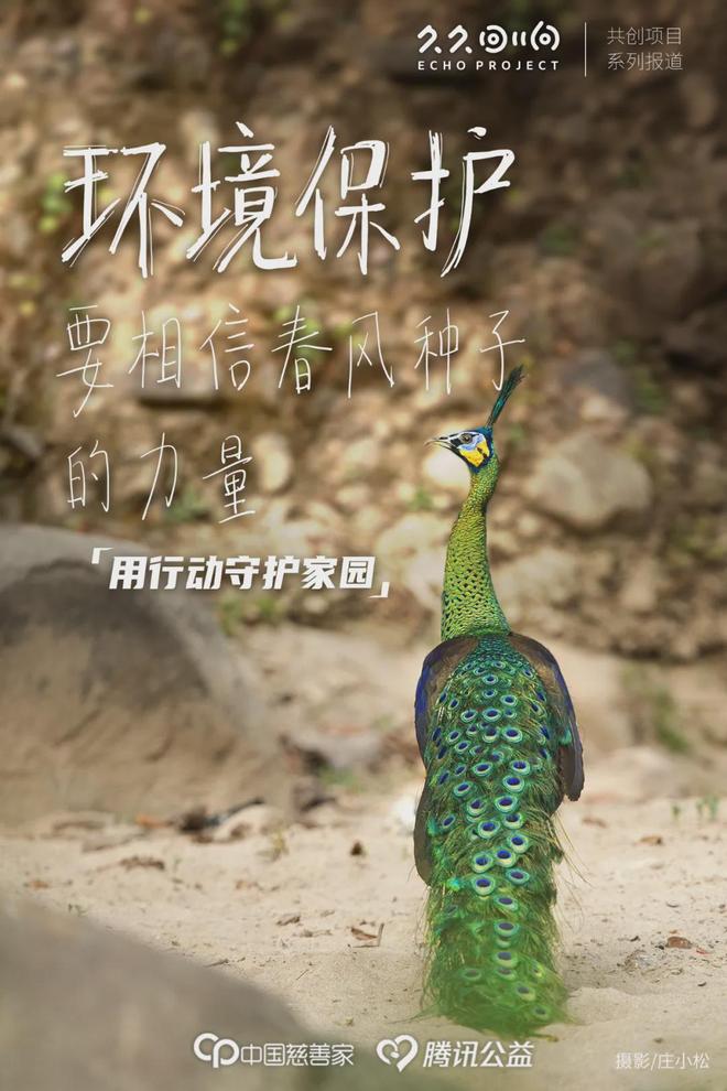 中华慈善日 32年来自然之友“春风和种子的力量”如何激励人们？(图1)