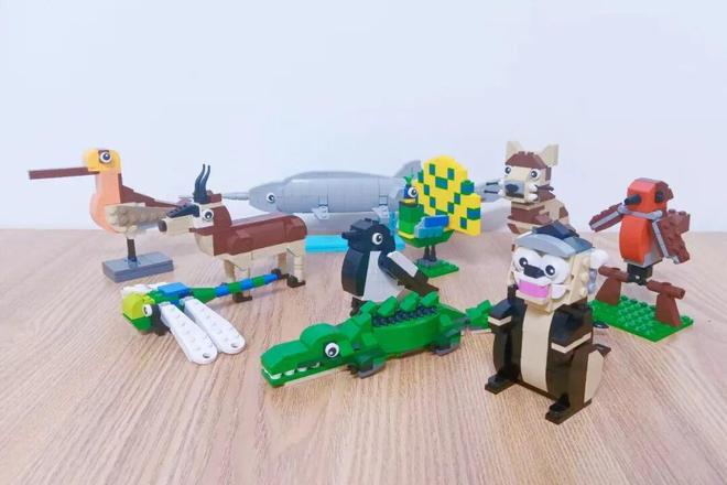 中华慈善日 32年来自然之友“春风和种子的力量”如何激励人们？(图8)