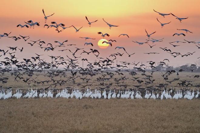 中华慈善日 32年来自然之友“春风和种子的力量”如何激励人们？(图4)