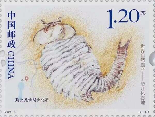 生态“藏宝图”更新！(图1)