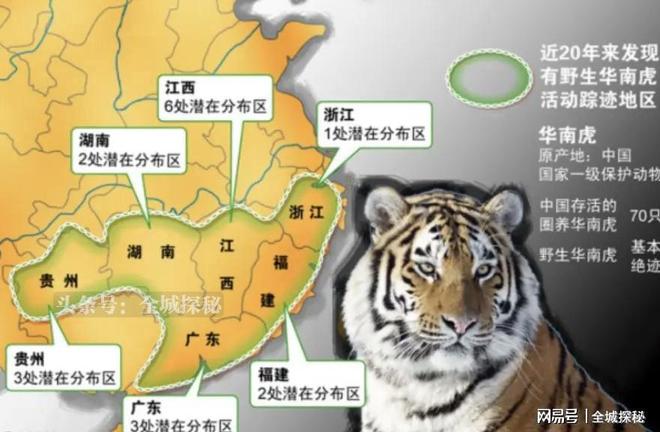 世界目前仅有约200只华南虎除我国外居然还有20多只在非洲？(图3)