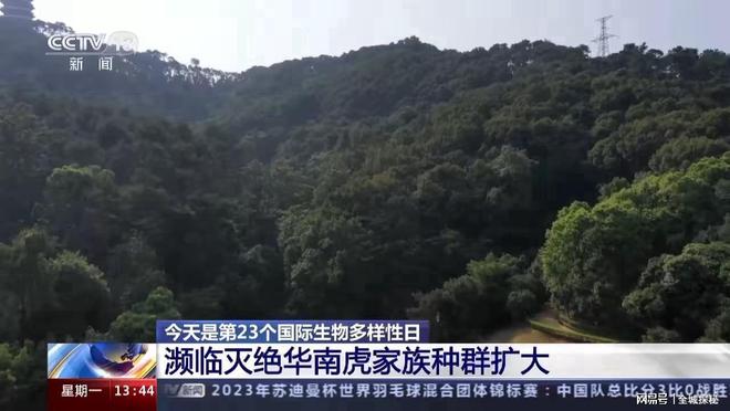 世界目前仅有约200只华南虎除我国外居然还有20多只在非洲？(图12)