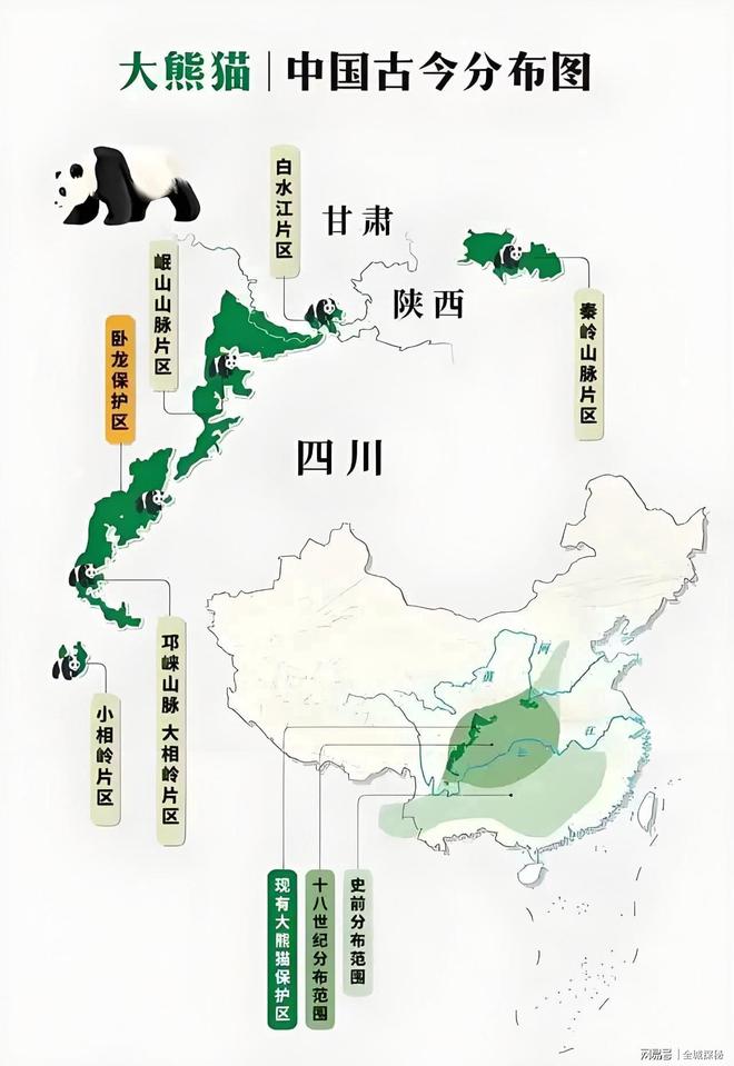 世界目前仅有约200只华南虎除我国外居然还有20多只在非洲？(图14)